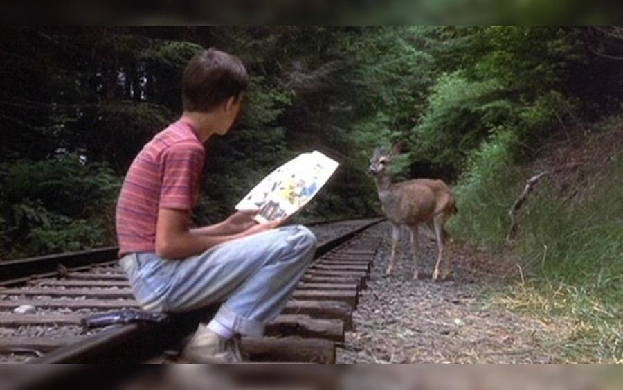 The Deer Scene in Stand By Me