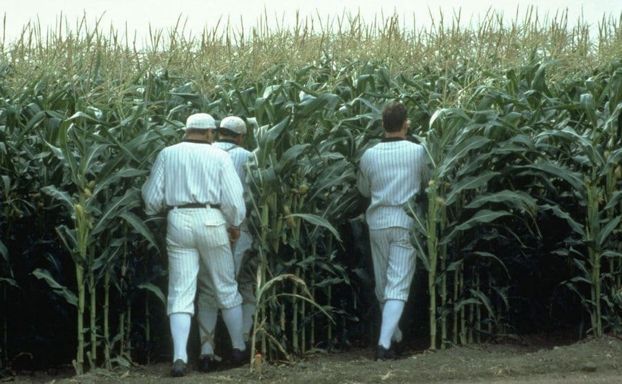 Baseball players are disappearing into the cornfield in a scene from Field of Dreams. 