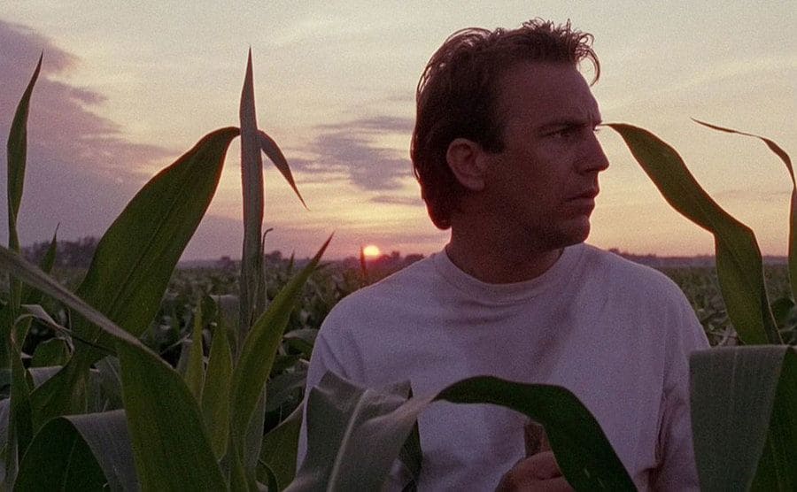 Costner walks through the cornfield. 