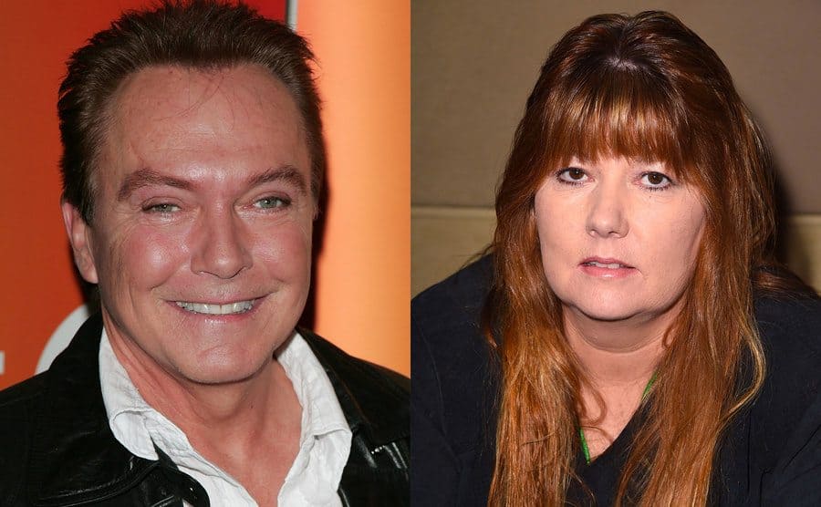 A portrait of David Cassidy / A picture of Suzanne Crough. 
