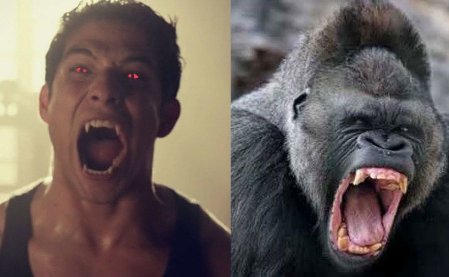 Tyler Posey roaring in Teen Wolf / Gorilla roaring