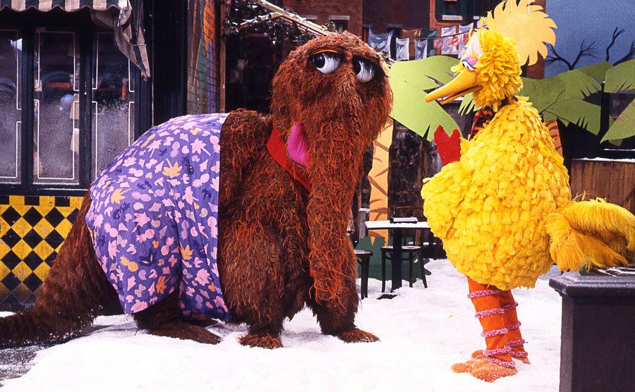 A photo of Mr. Snuffleupagus and Big Bird in an episode.