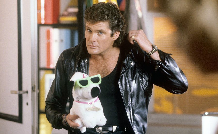 David Hasselhoff poses for a portrait. 