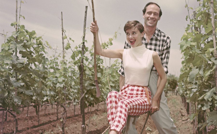 Audrey Hepburn is plowing a vineyard with her husband, American actor Mel Ferrer